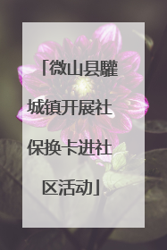 微山县驩城镇开展社保换卡进社区活动