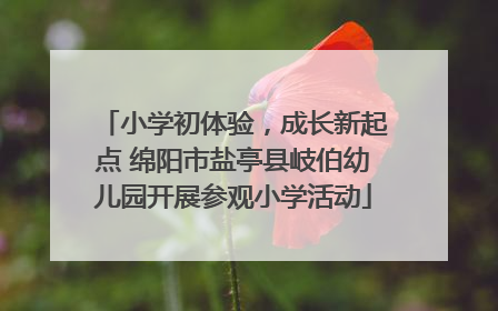 小学初体验,成长新起点 绵阳市盐亭县岐伯幼儿园开展参观小学活动