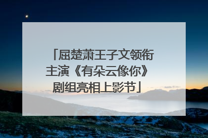 屈楚萧王子文领衔主演《有朵云像你》剧组亮相上影节