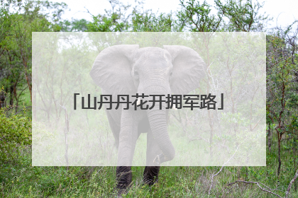 山丹丹花开拥军路