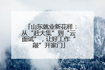 山东就业新花样：从“赶大集”到“云面试”，让好工作“敲”开家门