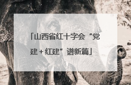 山西省红十字会“党建＋红建”谱新篇