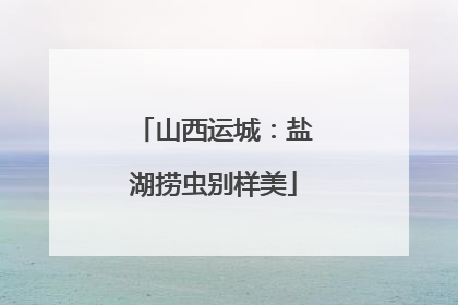 山西运城：盐湖捞虫别样美