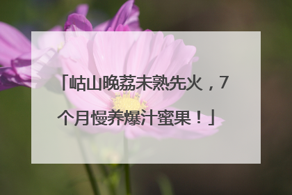 岵山晚荔未熟先火，7个月慢养爆汁蜜果！