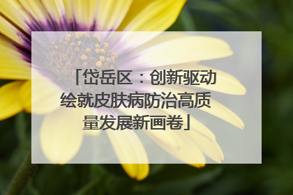 岱岳区：创新驱动绘就皮肤病防治高质量发展新画卷