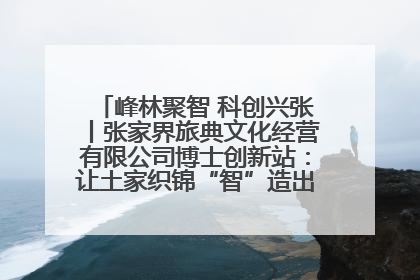峰林聚智 科创兴张丨张家界旅典文化经营有限公司博士创新站：让土家织锦“智”造出非遗新传奇
