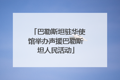 巴勒斯坦驻华使馆举办声援巴勒斯坦人民活动