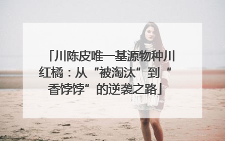 川陈皮唯一基源物种川红橘：从“被淘汰”到“香饽饽”的逆袭之路