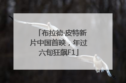 布拉德·皮特新片中国首映，年过六旬狂飙F1