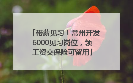 带薪见习！常州开发6000见习岗位，领工资交保险可留用