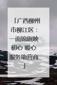 广西柳州市柳江区：一面锦旗映初心 暖心服务助营商