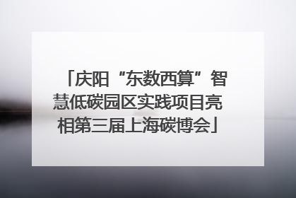 庆阳“东数西算”智慧低碳园区实践项目亮相第三届上海碳博会