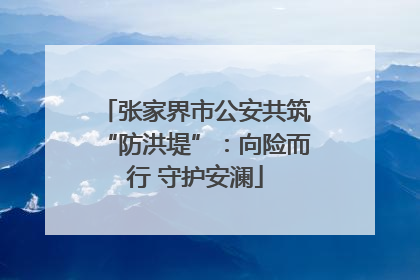 张家界市公安共筑“防洪堤”：向险而行 守护安澜