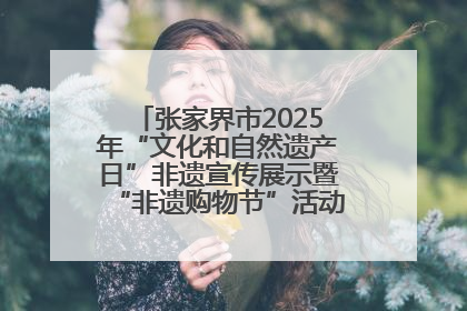 张家界市2025年“文化和自然遗产日”非遗宣传展示暨“非遗购物节”活动在慈利县盛大启幕