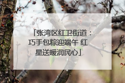张湾区红卫街道：巧手包粽迎端午 红星送暖润民心