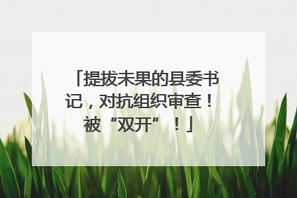 提拔未果的县委书记，对抗组织审查！被“双开”！