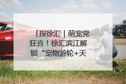探徐汇｜萌宠党狂喜！徐汇滨江解锁“宠物游轮+天台乐园”双玩法
