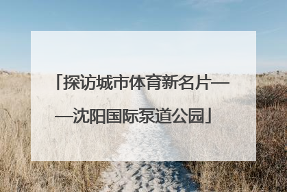 探访城市体育新名片——沈阳国际泵道公园