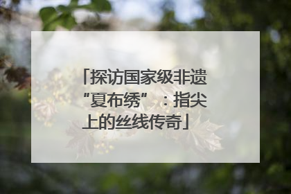 探访国家级非遗“夏布绣”：指尖上的丝线传奇