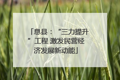 息县：“三力提升”工程 激发民营经济发展新动能