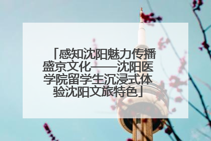 感知沈阳魅力传播盛京文化——沈阳医学院留学生沉浸式体验沈阳文旅特色