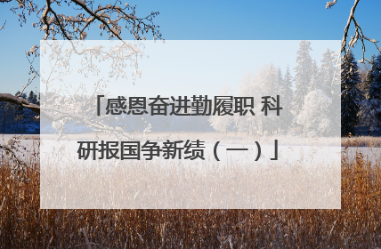 感恩奋进勤履职 科研报国争新绩（一）