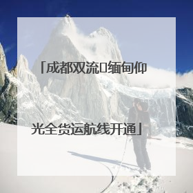 成都双流⇌缅甸仰光全货运航线开通