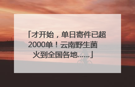 才开始，单日寄件已超2000单！云南野生菌火到全国各地……