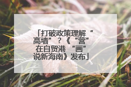 打破政策理解“高墙”？《“营”在自贸港 “画”说新海南》发布