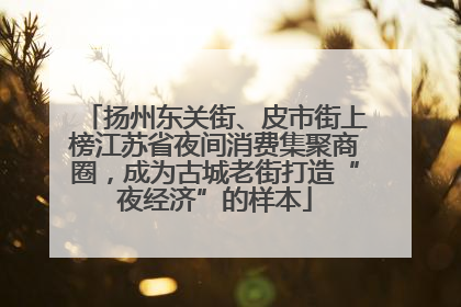 扬州东关街、皮市街上榜江苏省夜间消费集聚商圈，成为古城老街打造“夜经济”的样本