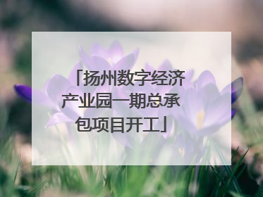 扬州数字经济产业园一期总承包项目开工