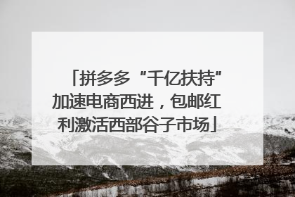 拼多多“千亿扶持”加速电商西进，包邮红利激活西部谷子市场