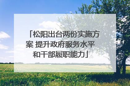 松阳出台两份实施方案 提升政府服务水平和干部履职能力