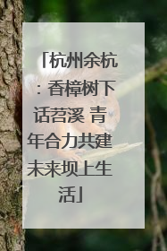 杭州余杭：香樟树下话苕溪 青年合力共建未来坝上生活