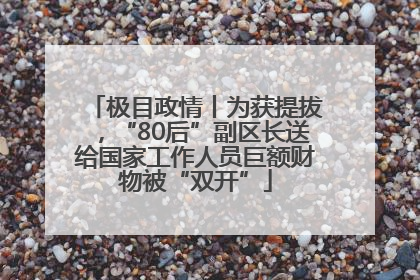 极目政情丨为获提拔，“80后”副区长送给国家工作人员巨额财物被“双开”