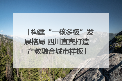 构建“一核多极”发展格局 四川宜宾打造产教融合城市样板