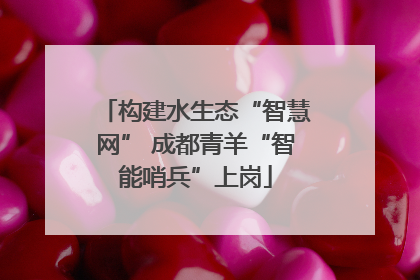 构建水生态“智慧网” 成都青羊“智能哨兵”上岗