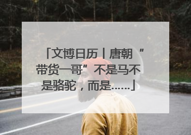 文博日历丨唐朝“带货一哥”不是马不是骆驼，而是……