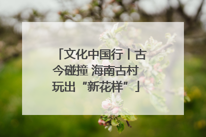 文化中国行丨古今碰撞 海南古村玩出“新花样”