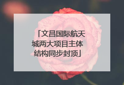 文昌国际航天城两大项目主体结构同步封顶