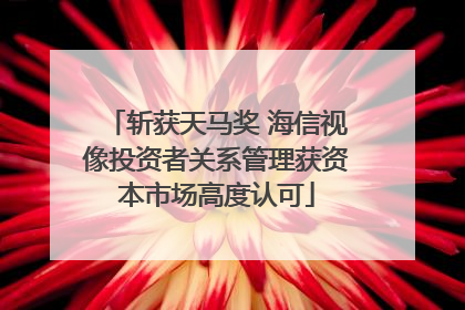 斩获天马奖 海信视像投资者关系管理获资本市场高度认可