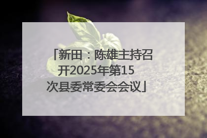 新田：陈雄主持召开2025年第15次县委常委会会议