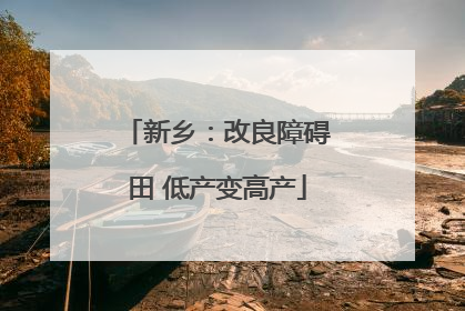 新乡：改良障碍田 低产变高产