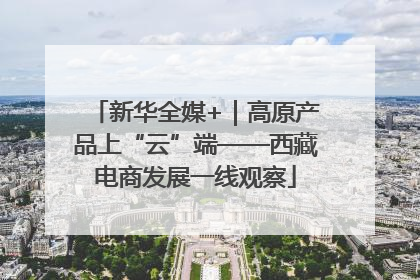 新华全媒+｜高原产品上“云”端——西藏电商发展一线观察