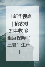 新华视点｜抢农时 护丰收 多维度保障“三夏”生产