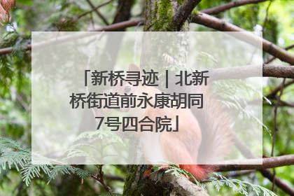 新桥寻迹｜北新桥街道前永康胡同7号四合院