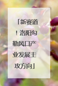 新赛道！洛阳勾勒风口产业发展主攻方向
