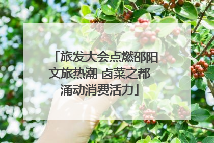旅发大会点燃邵阳文旅热潮 卤菜之都涌动消费活力