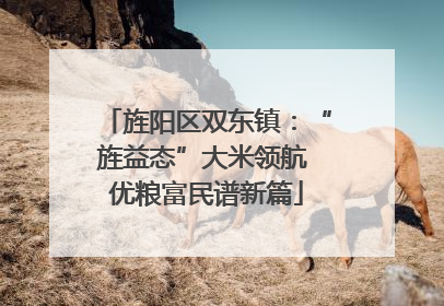 旌阳区双东镇：“旌益态”大米领航 优粮富民谱新篇