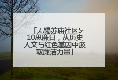 无锡苏庙社区5·10思廉日，从历史人文与红色基因中汲取廉洁力量